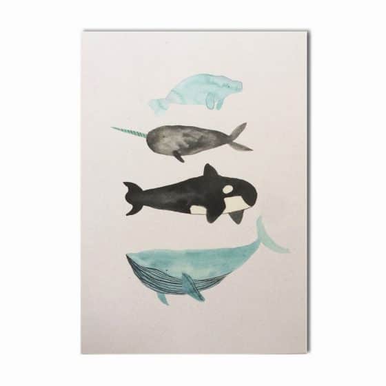 Postkarte mit Walen von Bär von Pappe