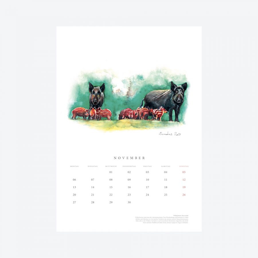 Barnabas Caro Brandenburgs Tierwelt Kalender 2023