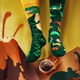 Socken mit Dinosaurierns von Many Mornings