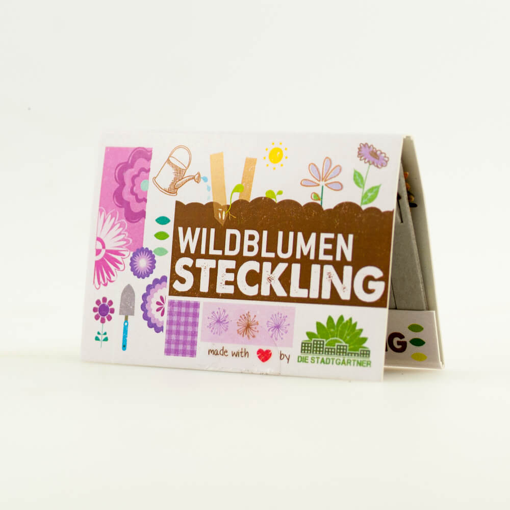 Wildblumen Steckling
