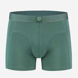 grüne Retropants von A-dam Underwear aus Bio-Baumwolle und Econyl