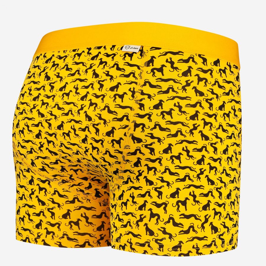 gelbe Retropants mit Windhundenbedruckt von A-dam Underwear aus Bio-Baumwolle und Econyl