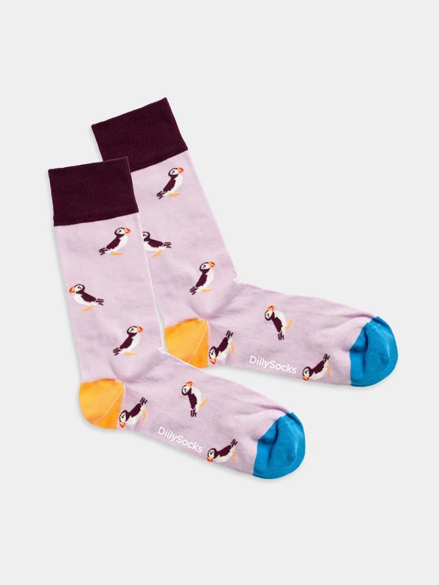 Bunte Socken Special Bird von DillySocks