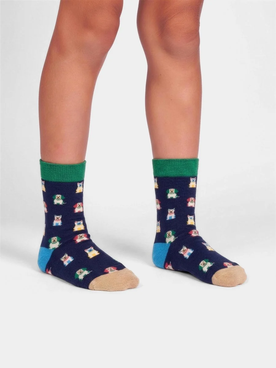 Lil Dog Society Kindersocken von DillySocks aus Bio-Baumwolle mit buntem Hundemotiv für Babys und Kinder bis 9 Jahre.