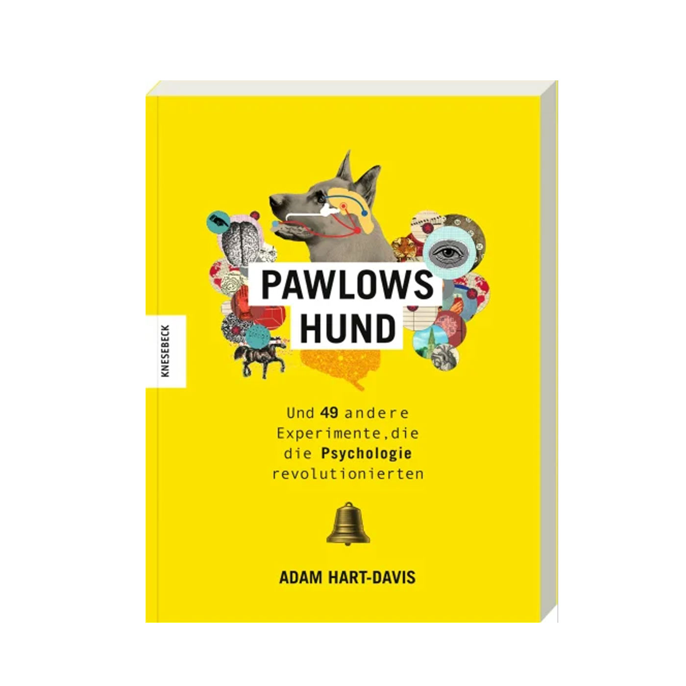 Pawlows Hund - Pschologische Experimente unterhaltsam dargestellt und illustriert - Knesebeck Verlag