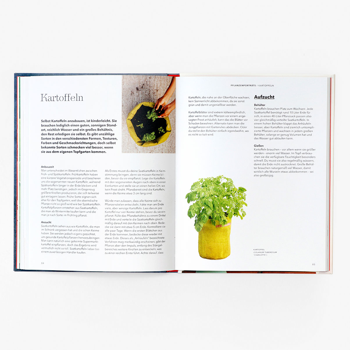 How to grow your dinner: Buch mit Tipps wie man zuhause Gemüse selbst anbaut.