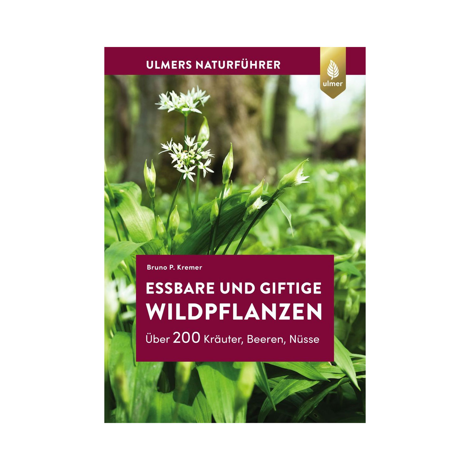 Essbare und giftige Wildpflanzen - ein kleiner Naturfphrer mit Rezepten aus dem Ulmer Verlag
