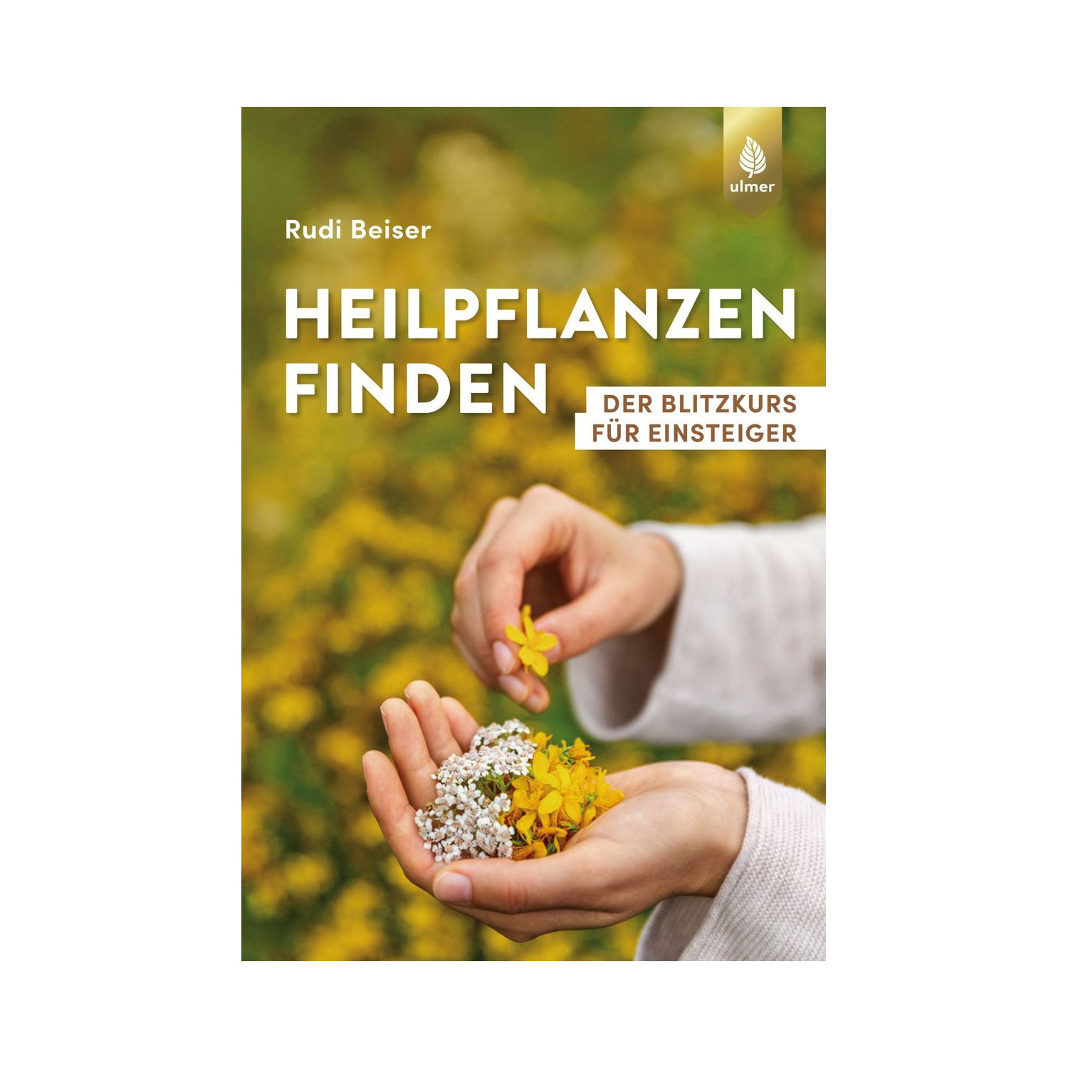 Heilpflanzen finden und Rezepte zum Verarbeiten - ein Blitzkurs für Anfänger aus dem Ulmer Verlag