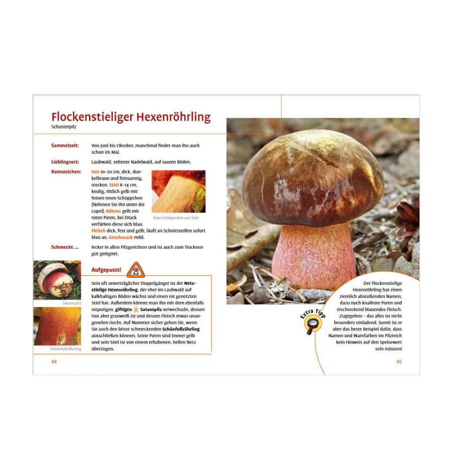 Pilze finden, von giftigen unterscheiden und lecker zubereiten - ein Pilzbuch für Einsteiger mit tollen Rezepten aus dem Ulmer Verlag