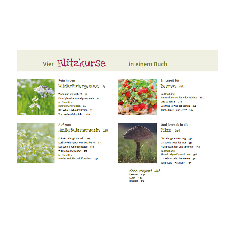 Wild- und Heilkräuter, Beeren und Pilze finden, bestimmen und verarbeiten - ein Blitzkurs für Einsteiger aus dem Ulmer Verlag